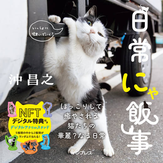 Everyday is Purrfect